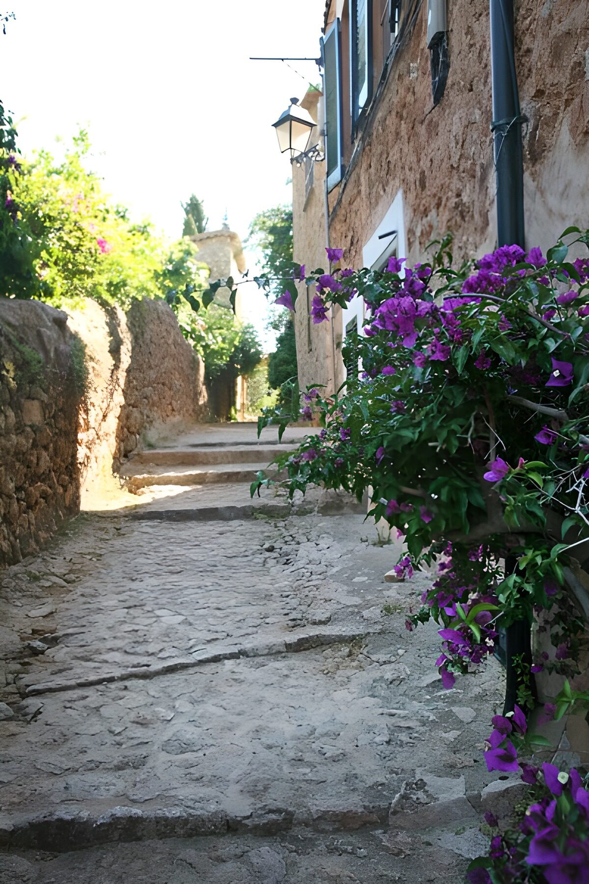 PDGIT6615104: Vicolo in pietra con bouganville viola