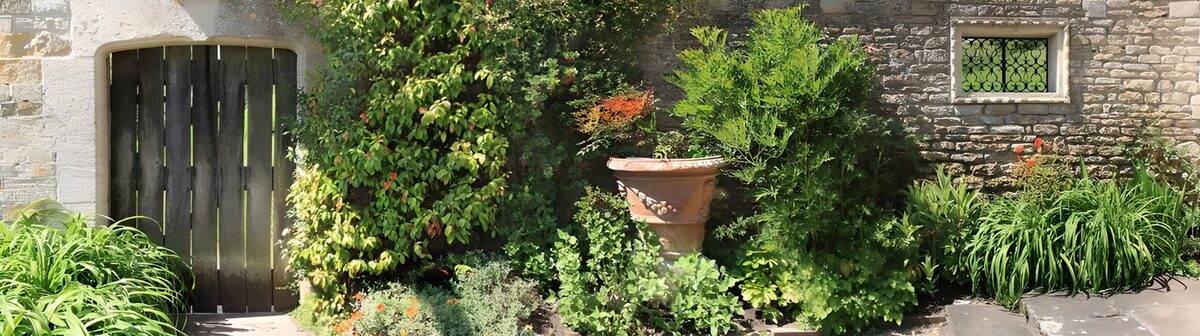 PDGIT6212930: Giardino rustico tra pietra e foglie
