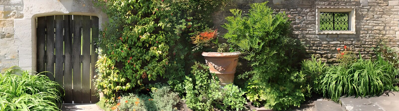 PDGIT6212930: Giardino rustico tra pietra e foglie