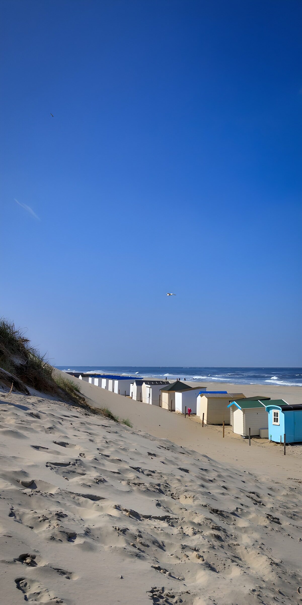PDGIT9157375: Cabine sulla spiaggia tra dune e mare