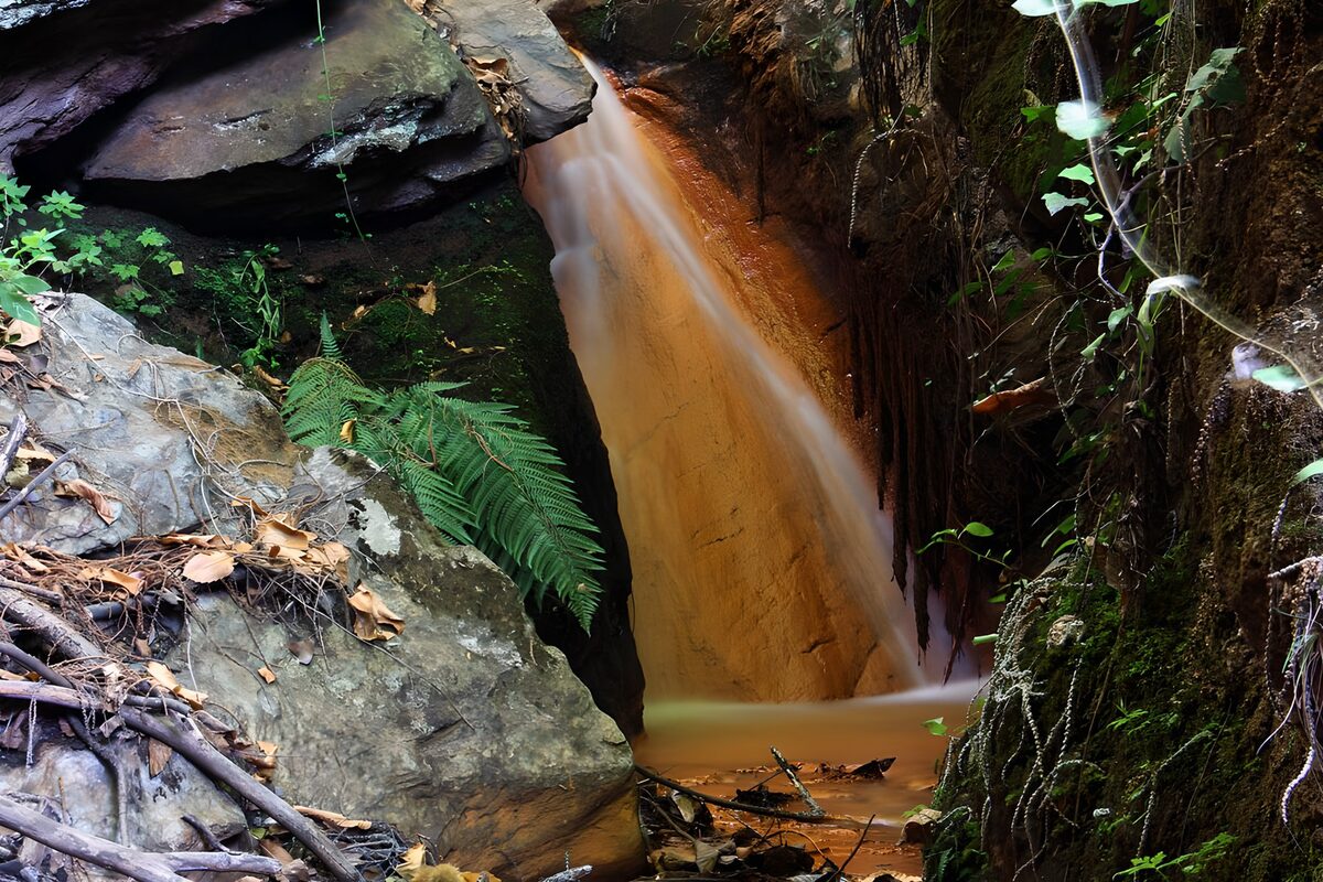PDGIT3805719: Cascata tra rocce scure e felci