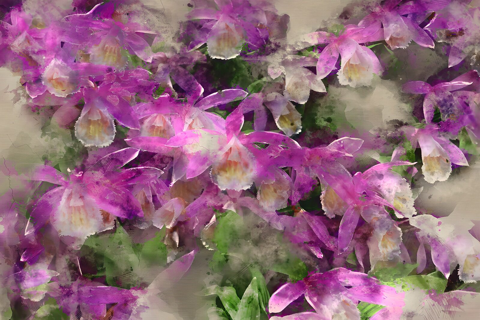 PDGIT2581183: Orchidee rosa e viola ad acquerello