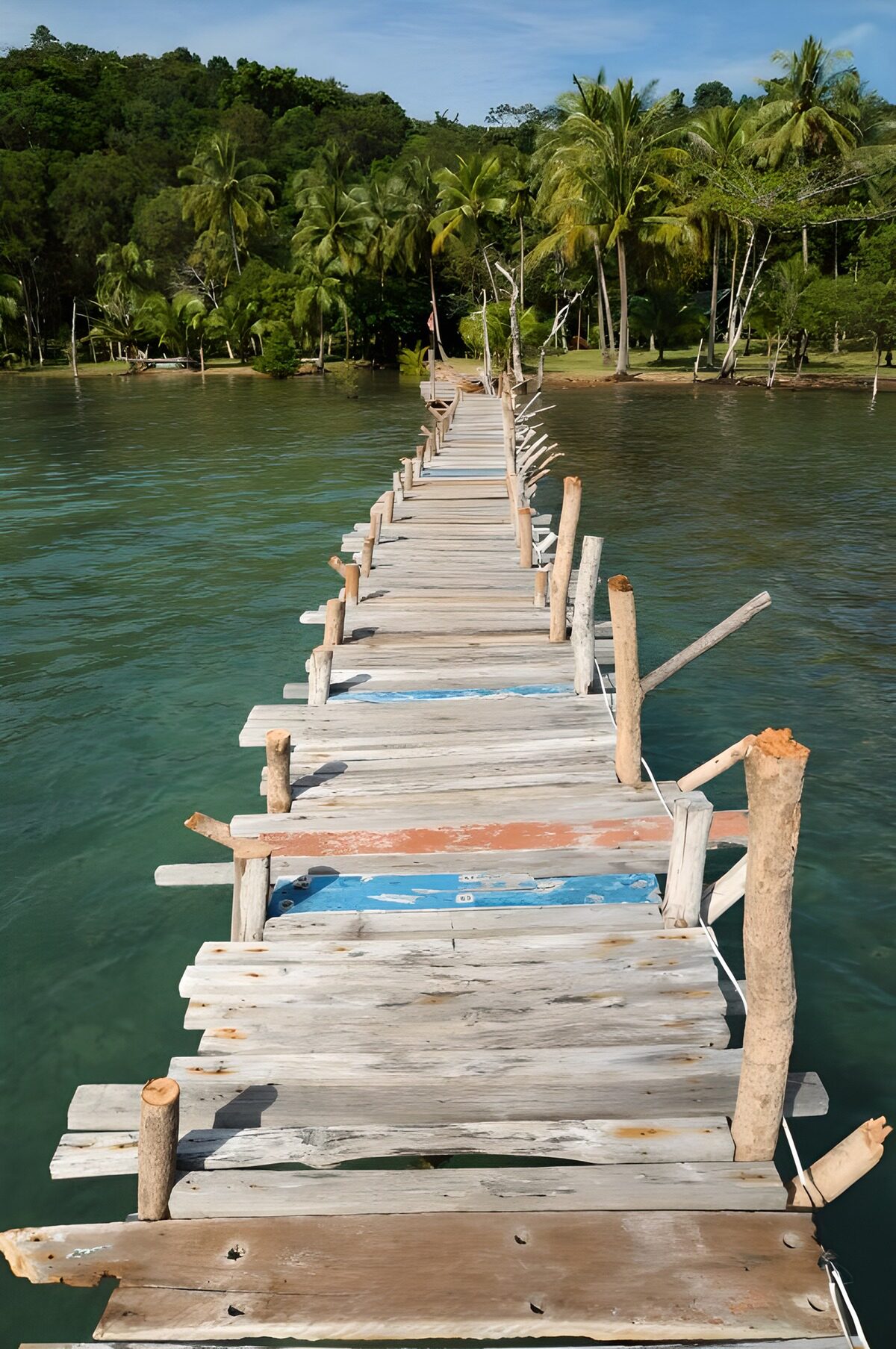PDGIT8090924: Pontile in legno verso le palme