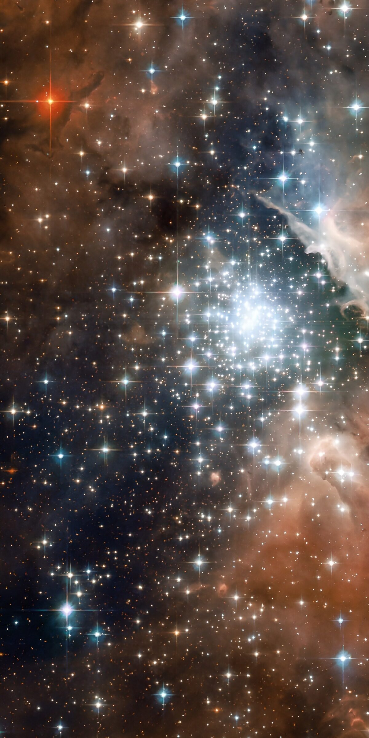 PDGIT5098731: Ammasso di stelle blu tra nubi di rame
