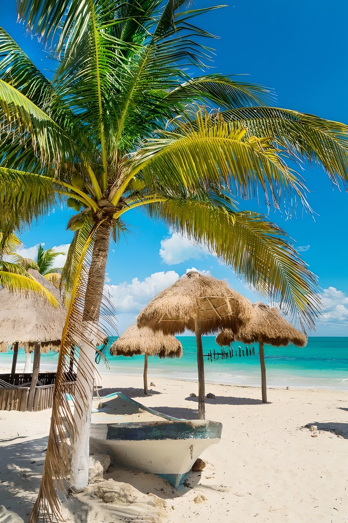 PDGIT8615788: Palma e barca sulla spiaggia tropicale