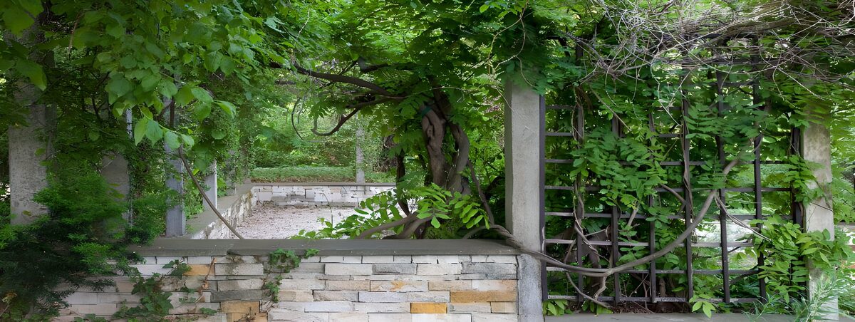 PDGIT6349805: Pergola e muretto tra i rampicanti