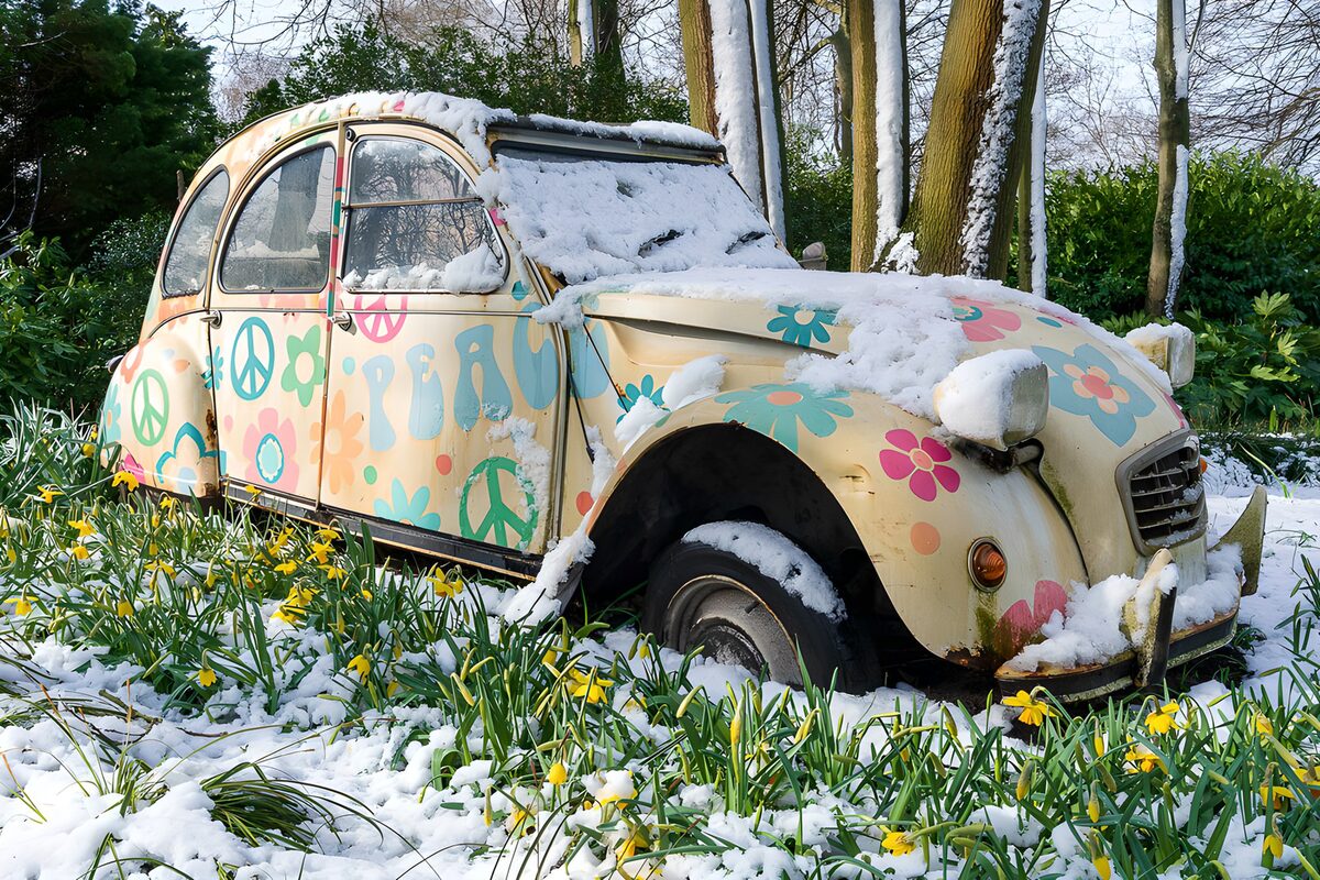 PDGIT2296736: 2CV a fiori tra neve e narcisi