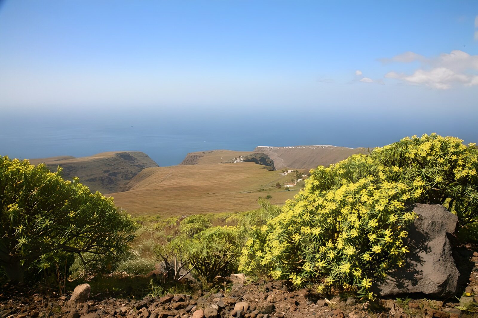 PDGIT4918771: Costa rocciosa con fiori gialli al sole
