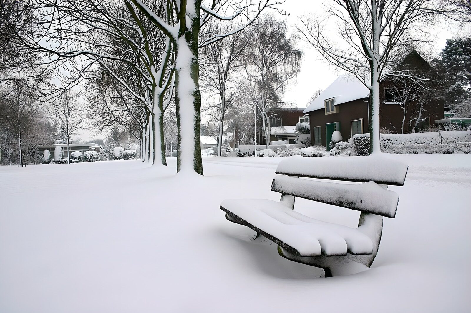 PDGIT3180484: Panchina e case sotto la neve