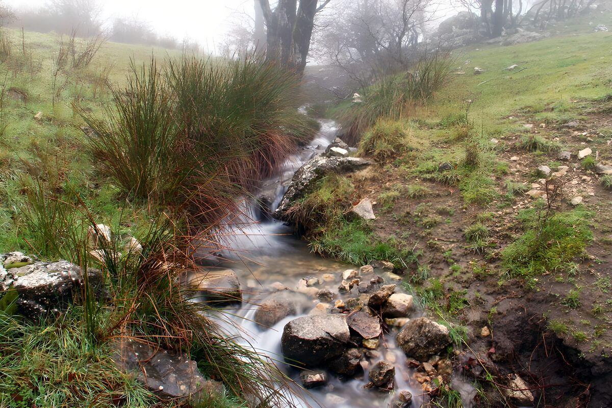 PDGIT8459367: Ruscello tra le rocce nella nebbia