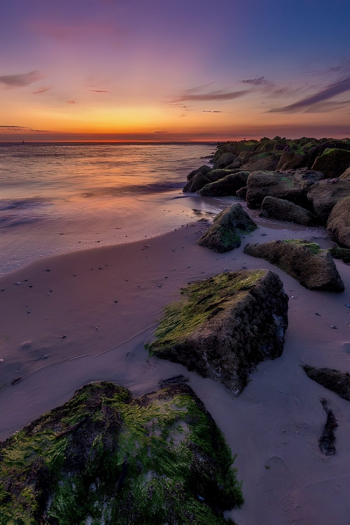 PDGIT8556259: Spiaggia e scogli nella luce del tramonto