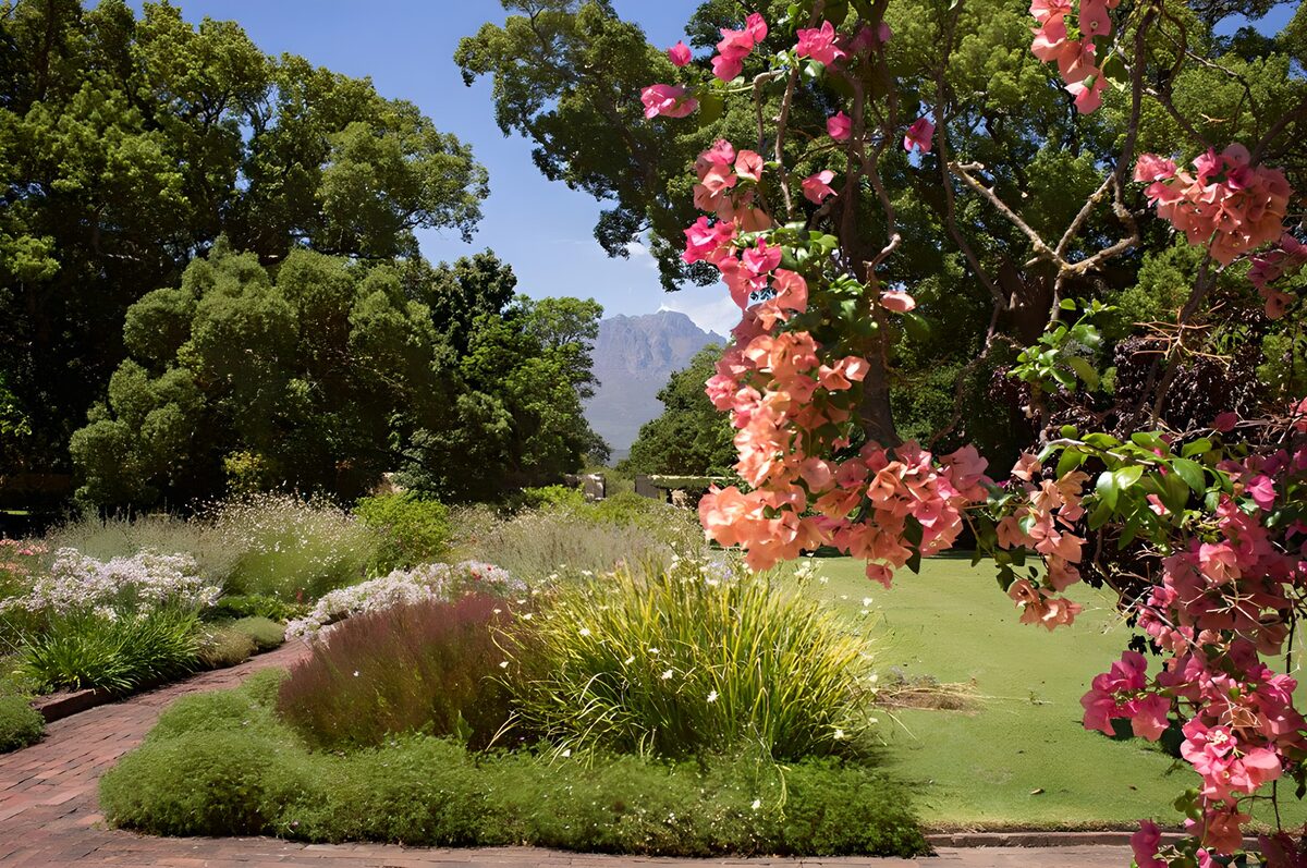Giardino con fiori rosa e stagno al sole