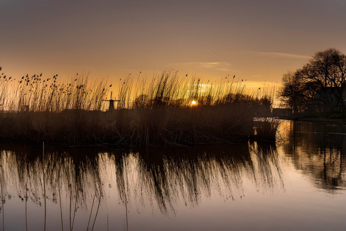 Canneto al tramonto sull’acqua calma