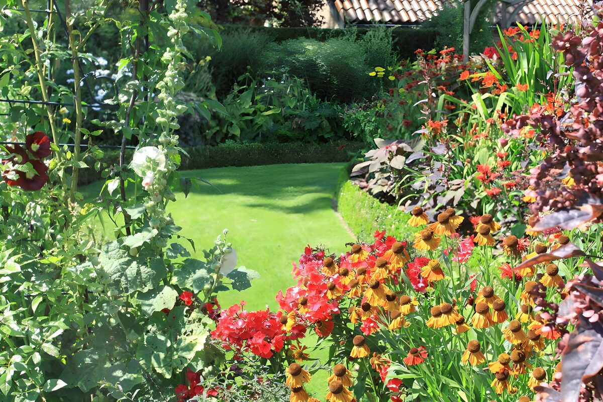 PDGIT4546345: Prato verde tra fiori gialli e rossi