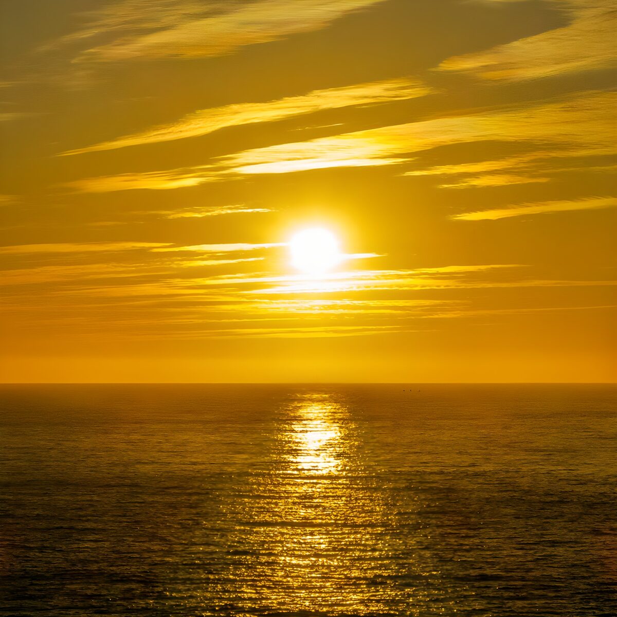 PDGIT4489063: Sole e riflessi sul mare dorato