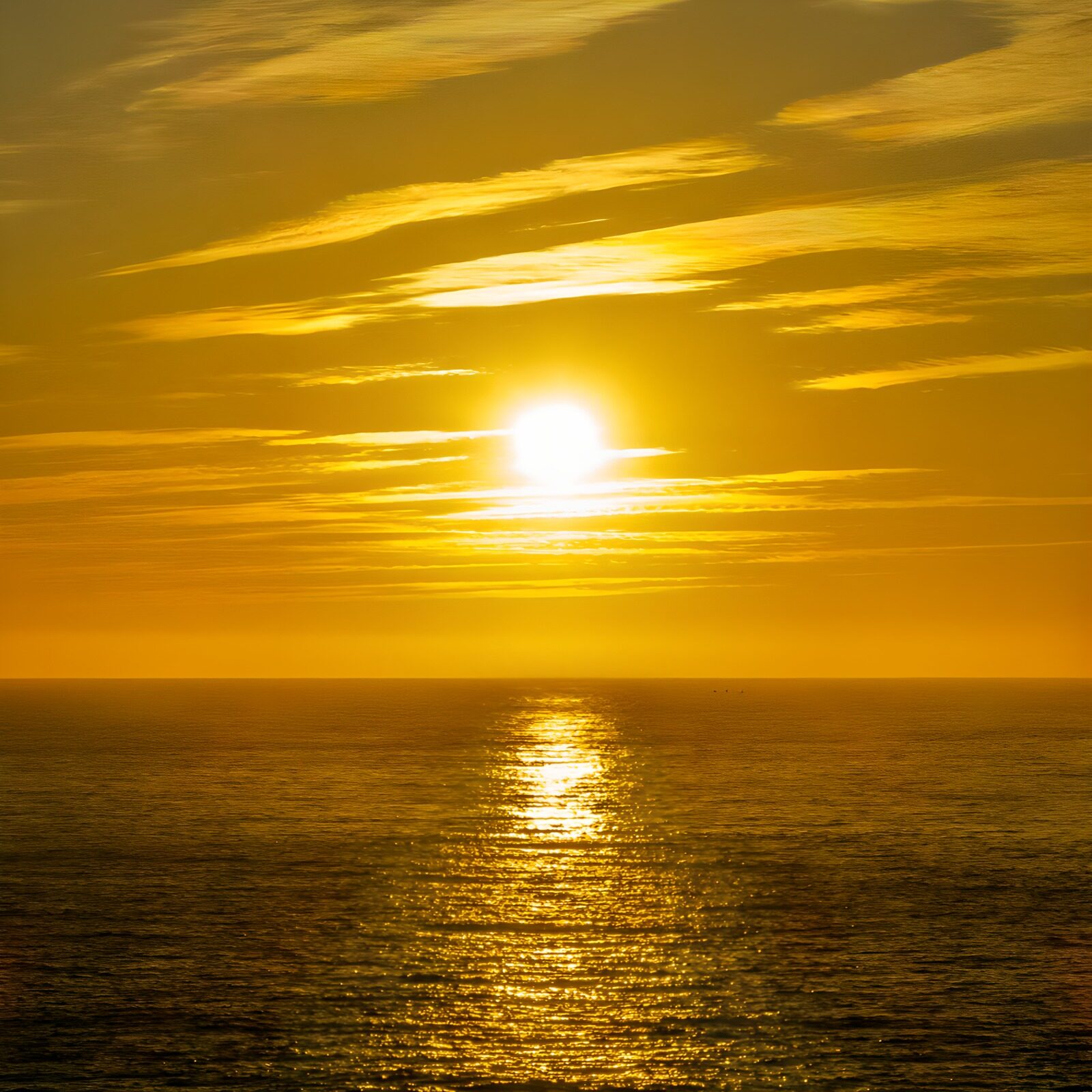 PDGIT4489063: Sole e riflessi sul mare dorato
