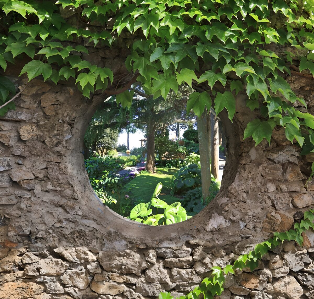 PDGIT3290730: Il giardino fa capolino dal muro