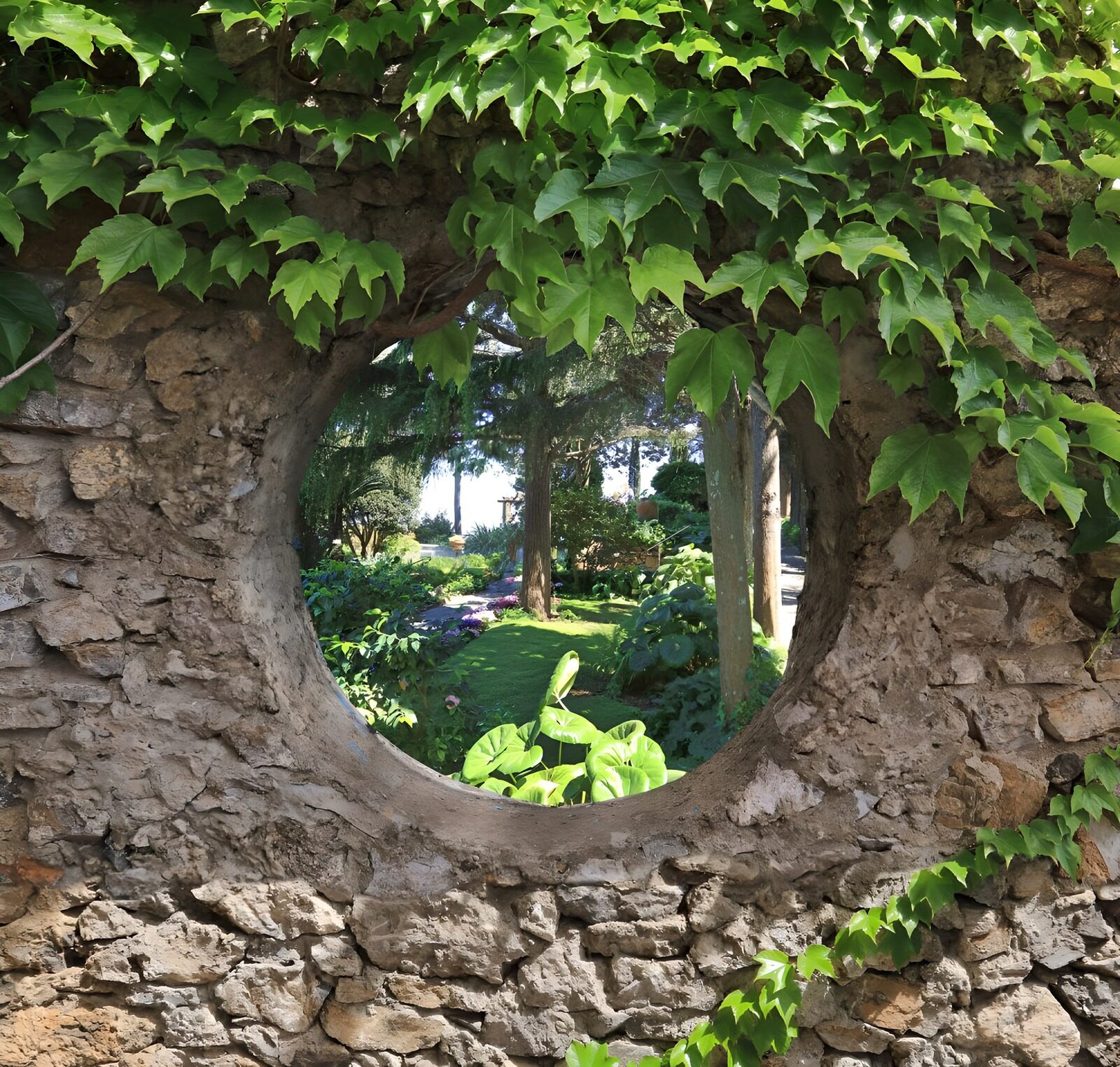 PDGIT3290730: Il giardino fa capolino dal muro