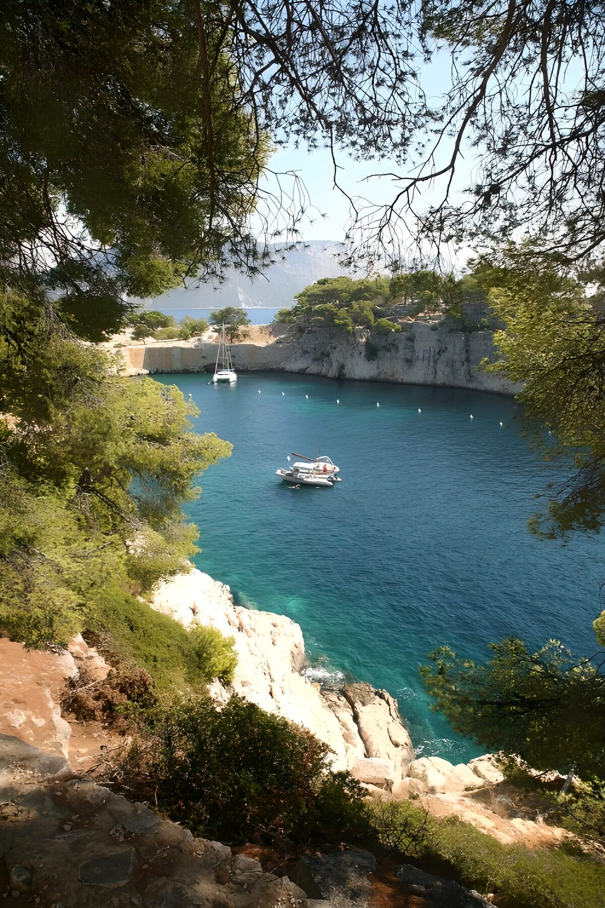Barche nella cala tra rocce e pini