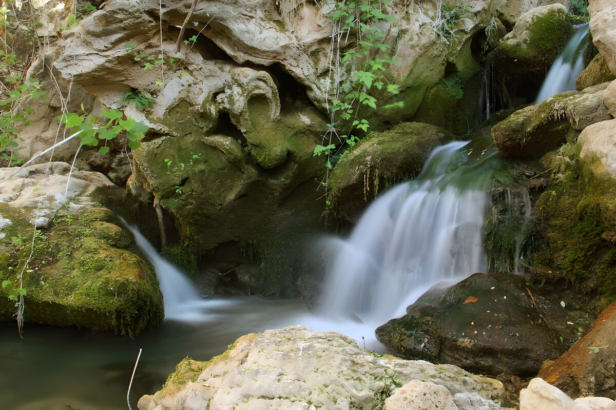 PDGIT5095865: Cascata tra rocce chiare e ombre verdi