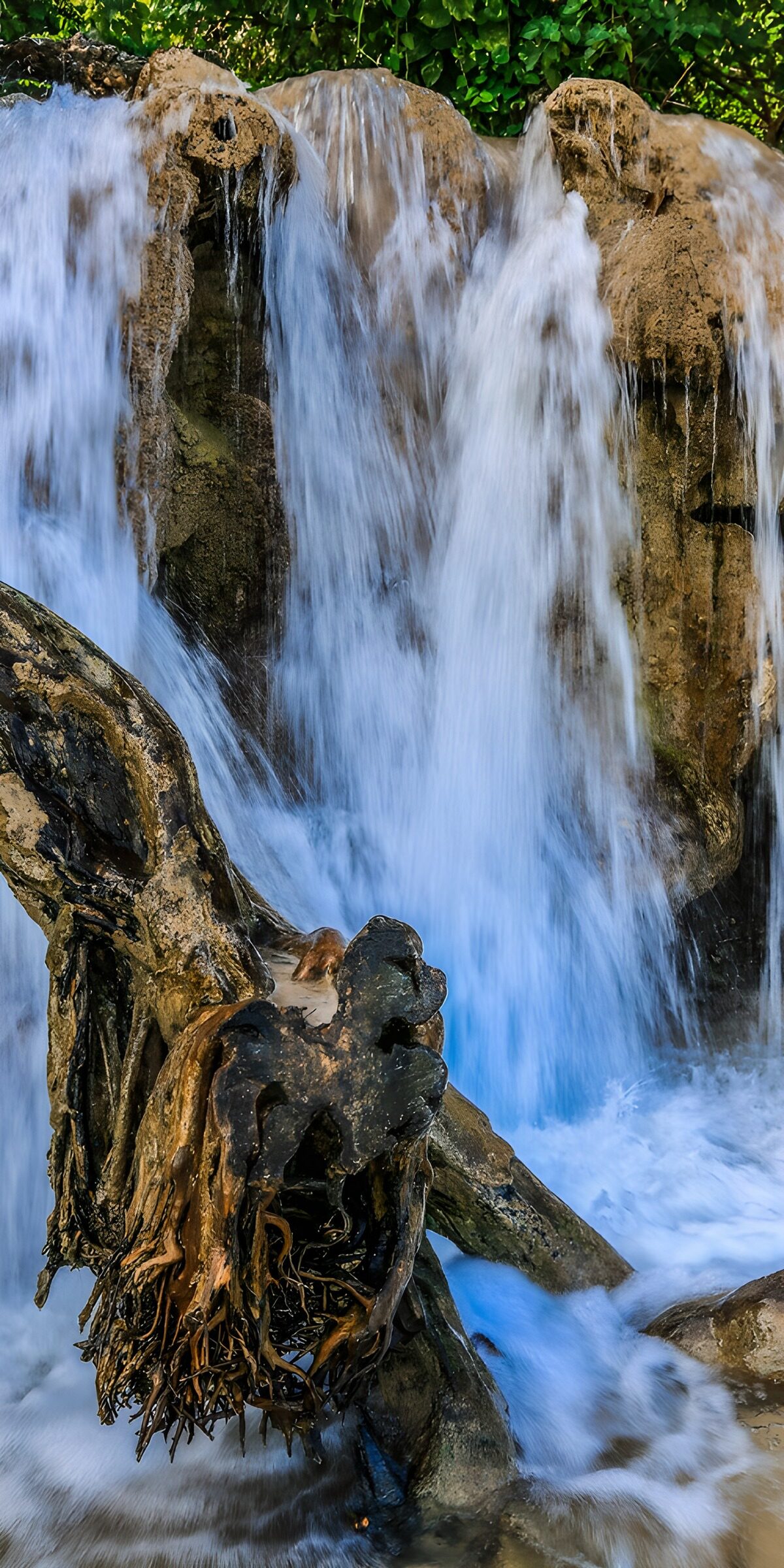 PDGIT7514588: Cascata su rocce brune e radici