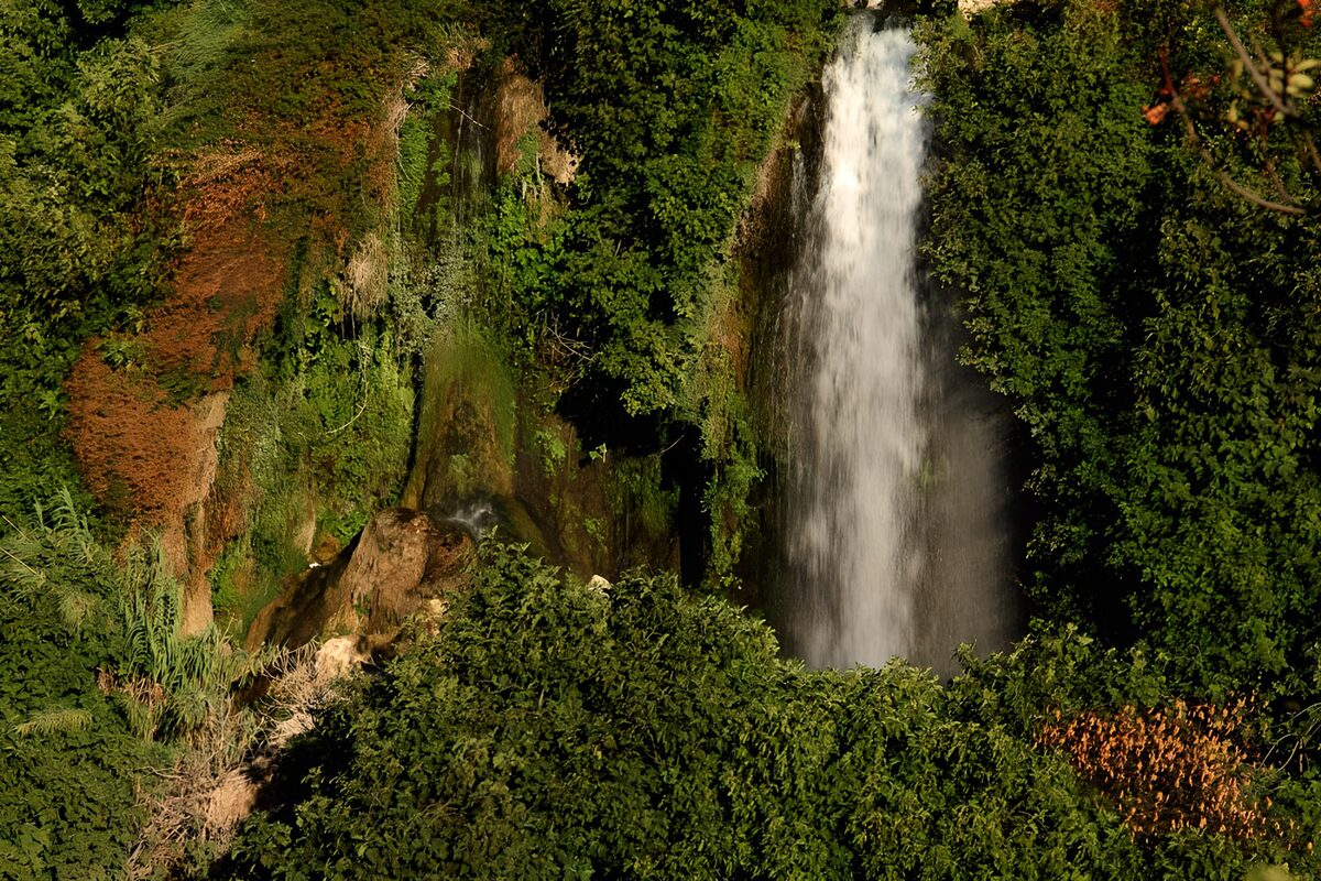 PDGIT3292146: Cascata nel verde tra rocce e ombre