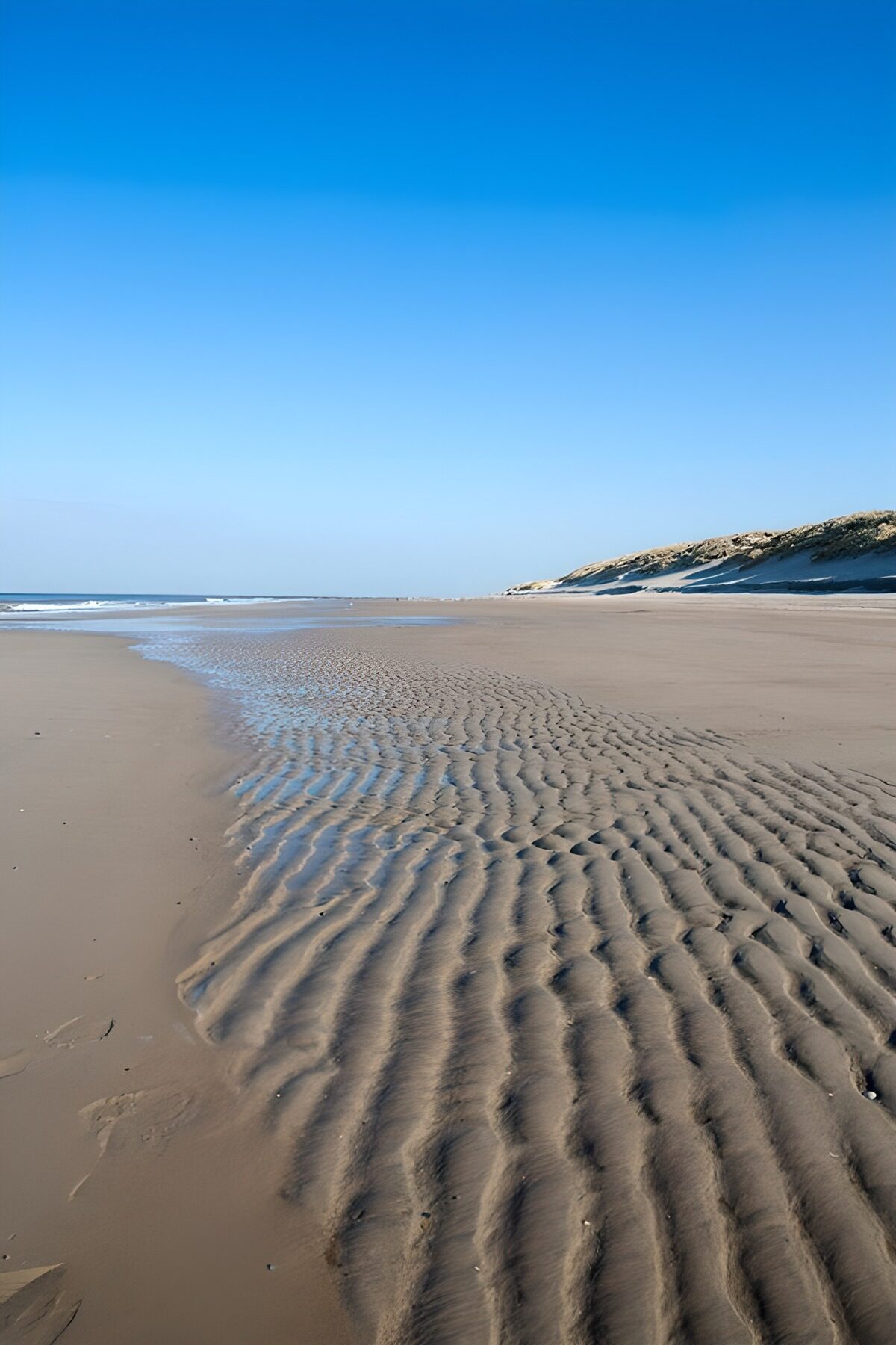 PDGIT2759489: Spiaggia a bassa marea sotto il cielo blu
