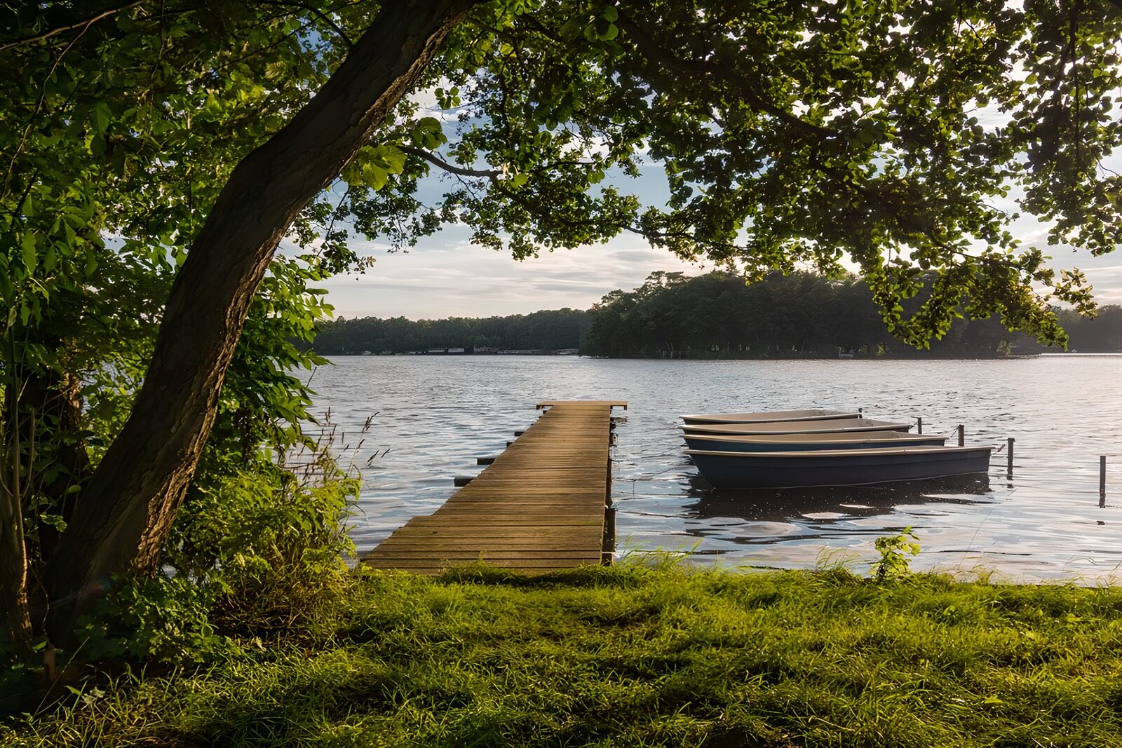 PDGIT3872586: Pontile e barche sul lago tranquillo