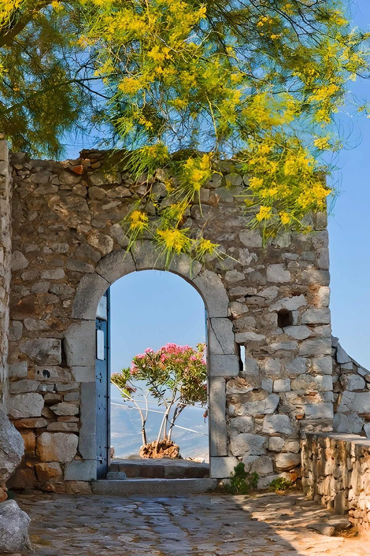 PDGIT1173088: Arco in pietra tra fiori e montagne