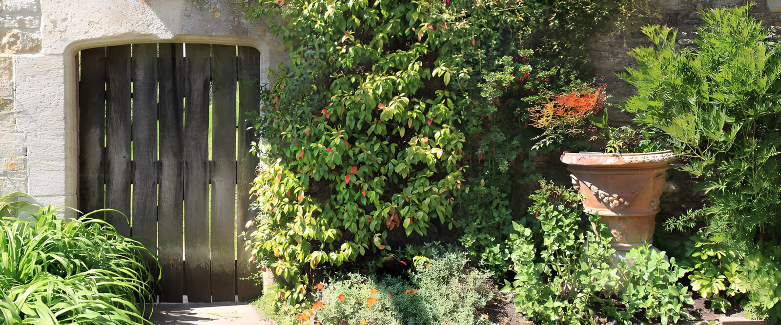 PDGIT3864210: Cancello in legno tra verde e terracotta