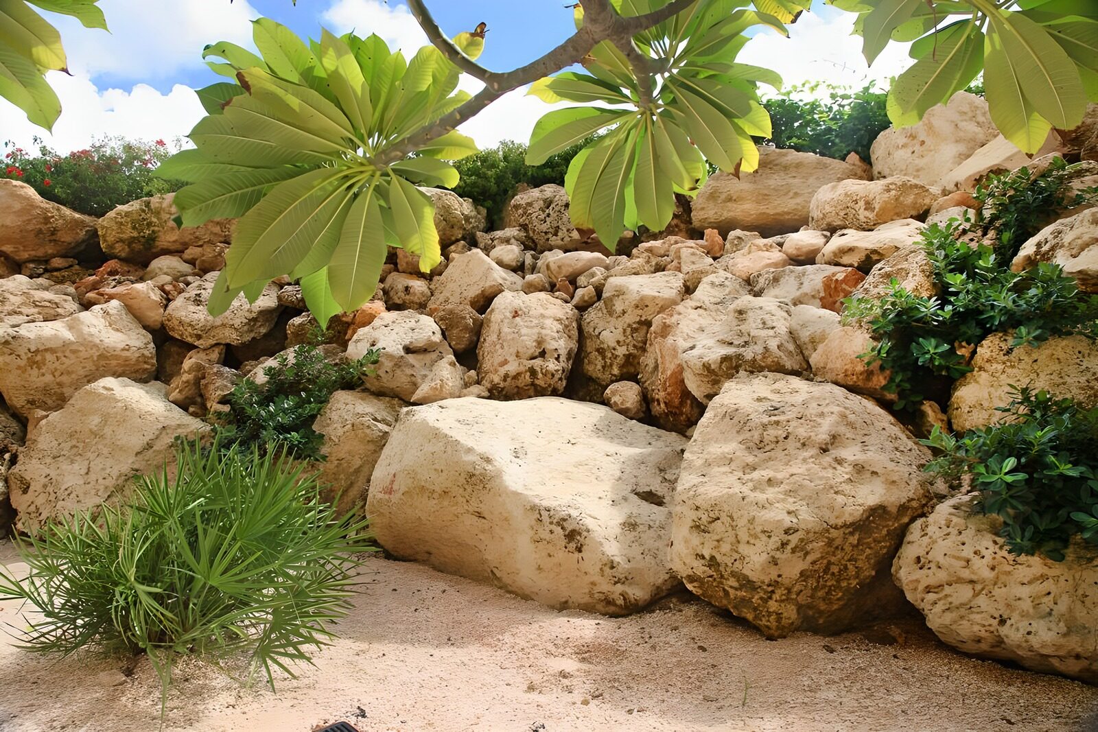 PDGIT4506935: Giardino di rocce chiare al sole