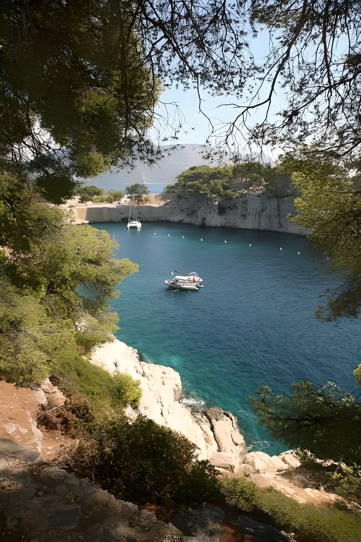 PDGIT6702535: Cala turchese tra rocce e alberi