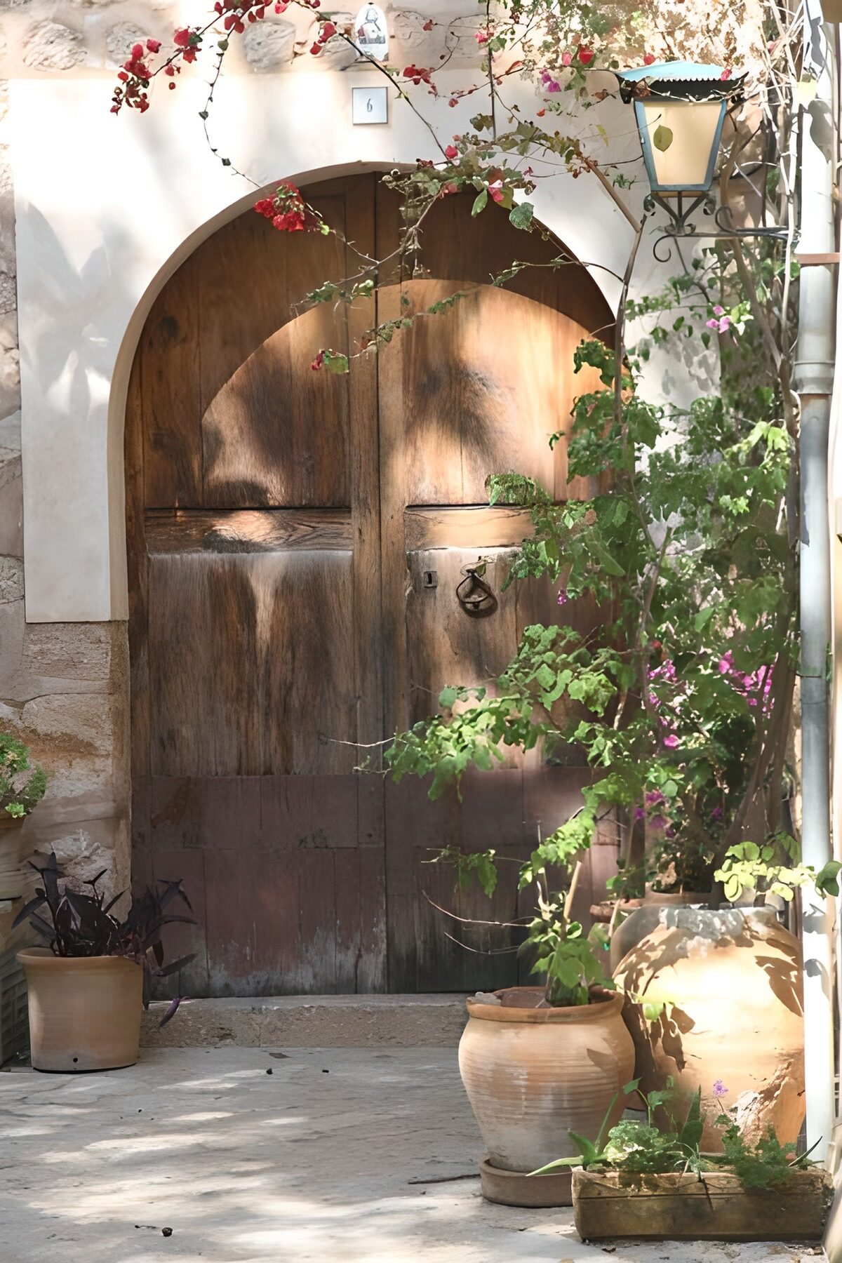 PDGIT4370337: Porta ad arco tra fiori e ombre