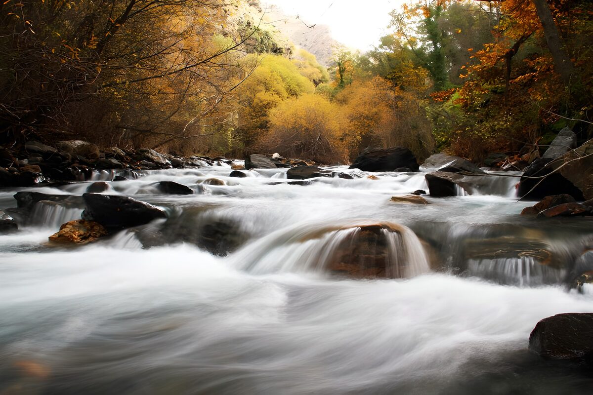 PDGIT5740393: Torrente tra le rocce d’autunno