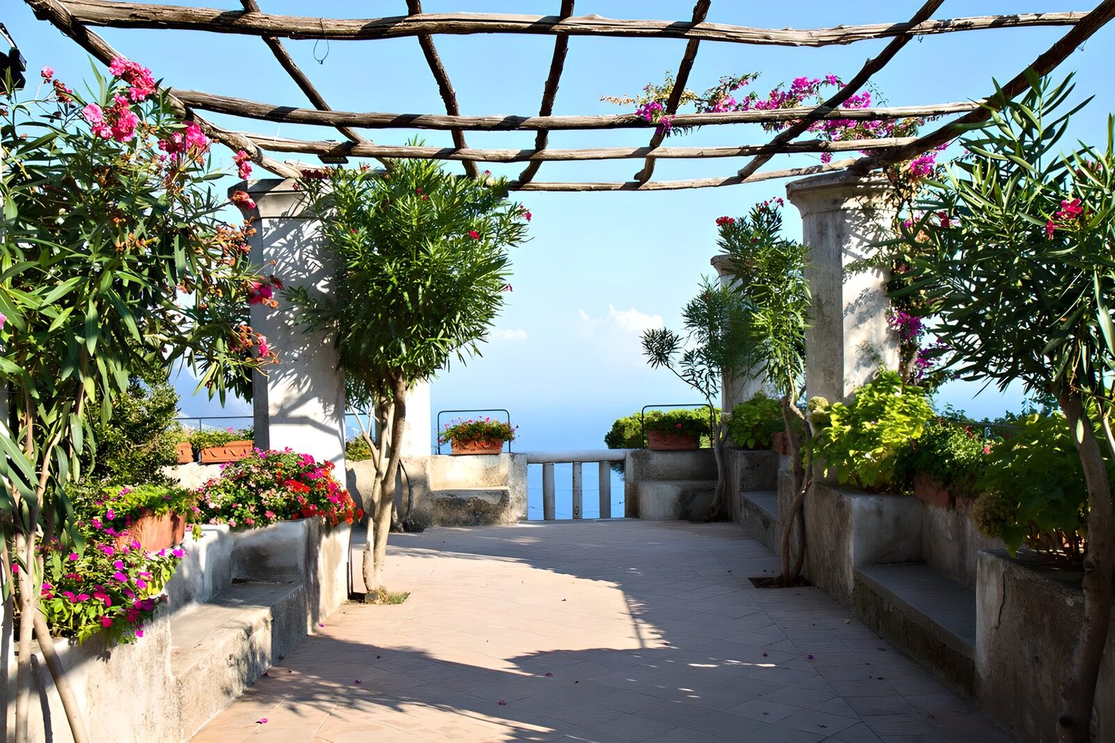 PDGIT6839521: Terrazza fiorita con pergola sul mare
