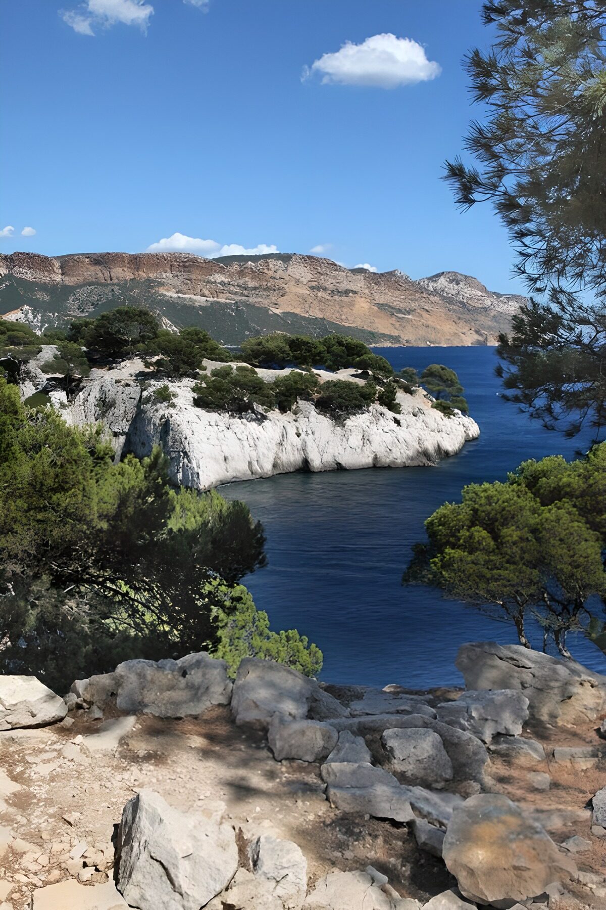 PDGIT9825374: Baia blu tra rocce e macchia