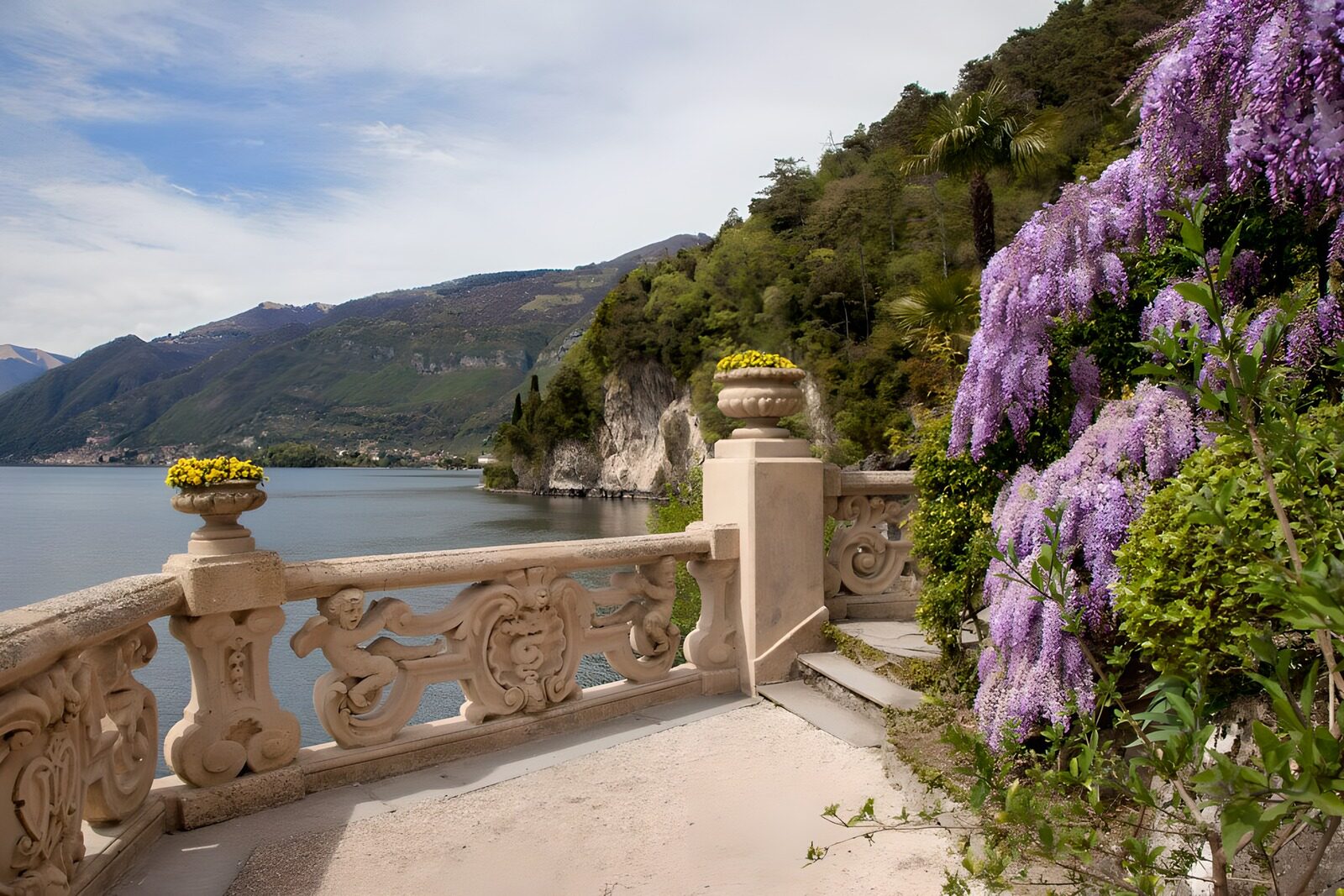 PDGIT2345388: Terrazza fiorita affacciata sul lago