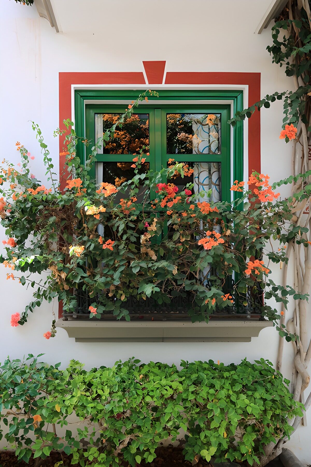PDGIT5371411: Finestra verde tra i fiori