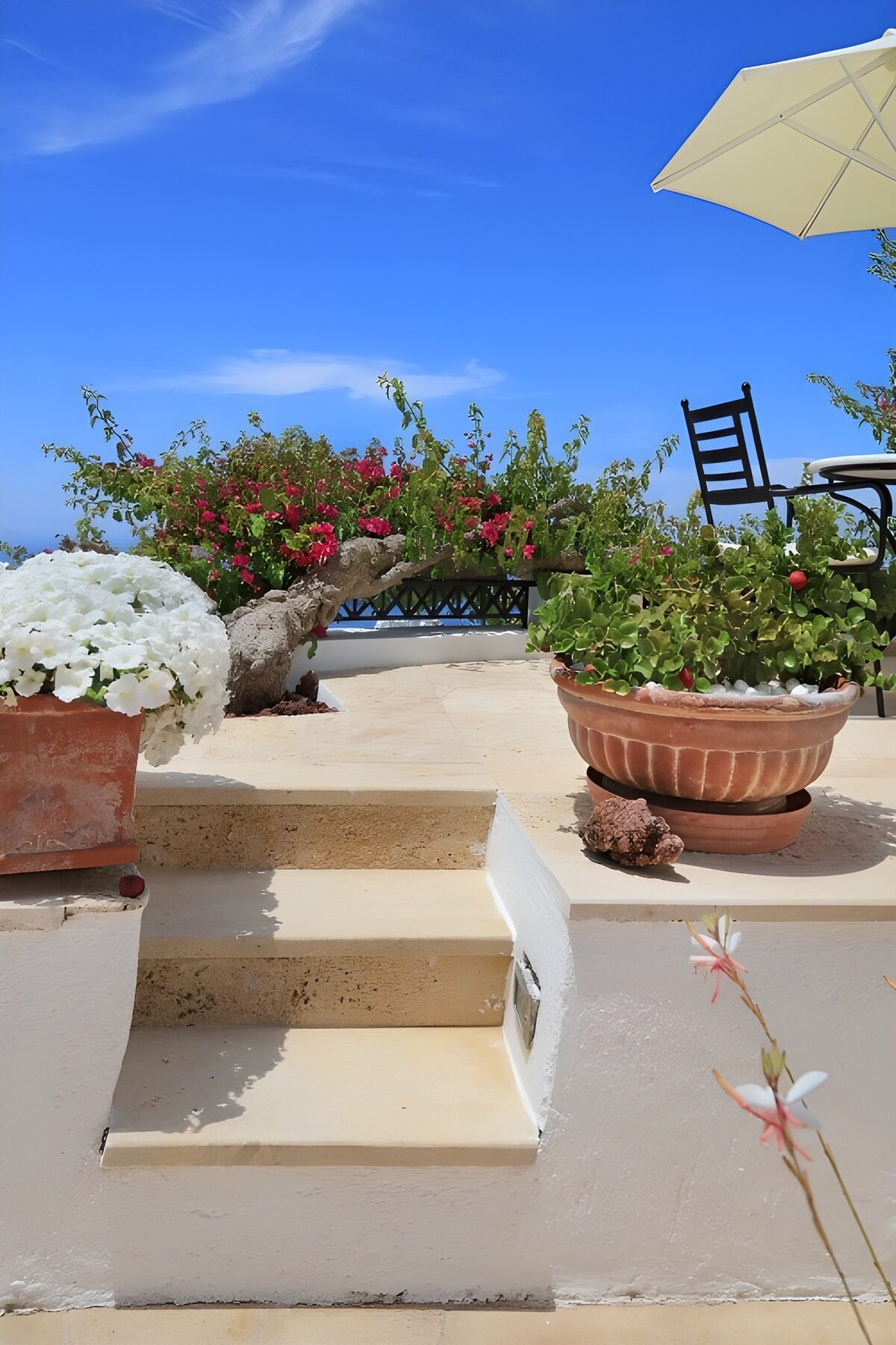 PDGIT7250624: Terrazza al sole tra fiori e gradini