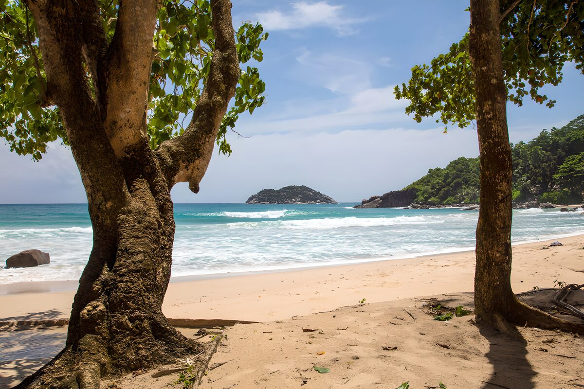 PDGIT6152661: Spiaggia all’ombra sul mare turchese