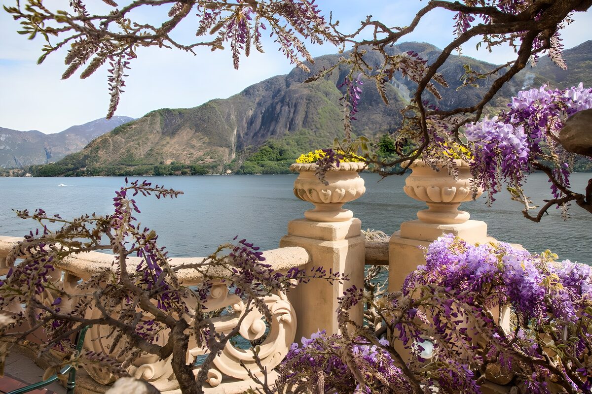 PDGIT6541273: Terrazza sul lago con glicine in fiore