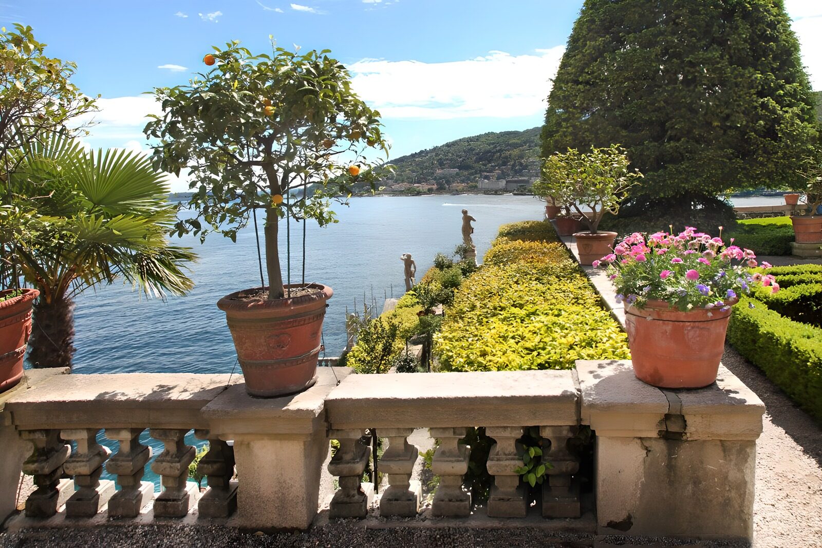 PDGIT8286497: Terrazza con agrumi e vista sull’acqua