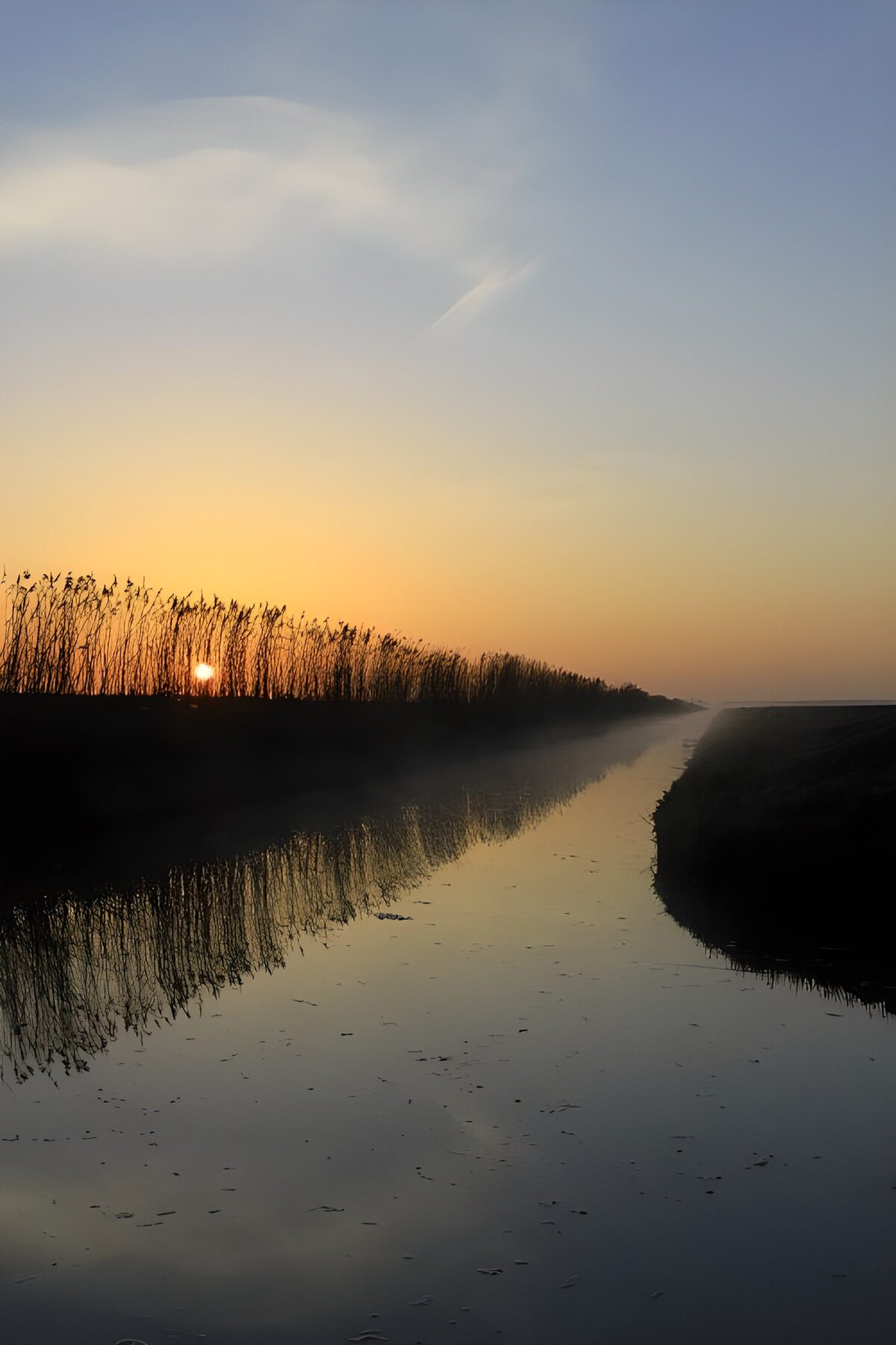 PDGIT9034890: Canale e canneto nella luce dorata