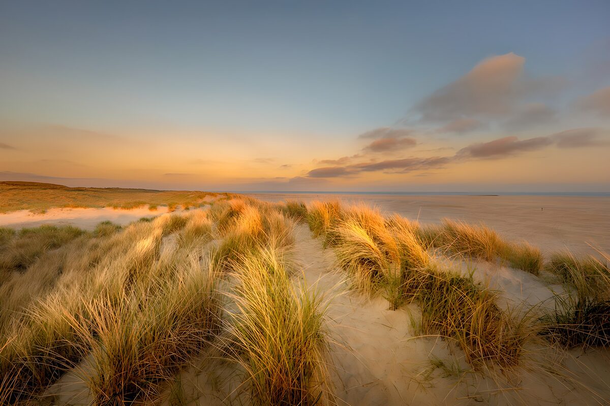PDGIT8788275: Dune erbose sul mare al tramonto