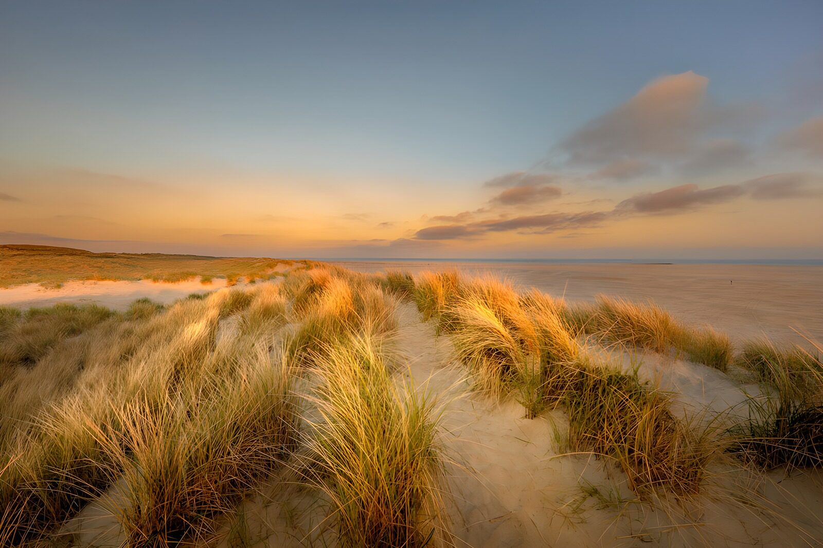 PDGIT8788275: Dune erbose sul mare al tramonto
