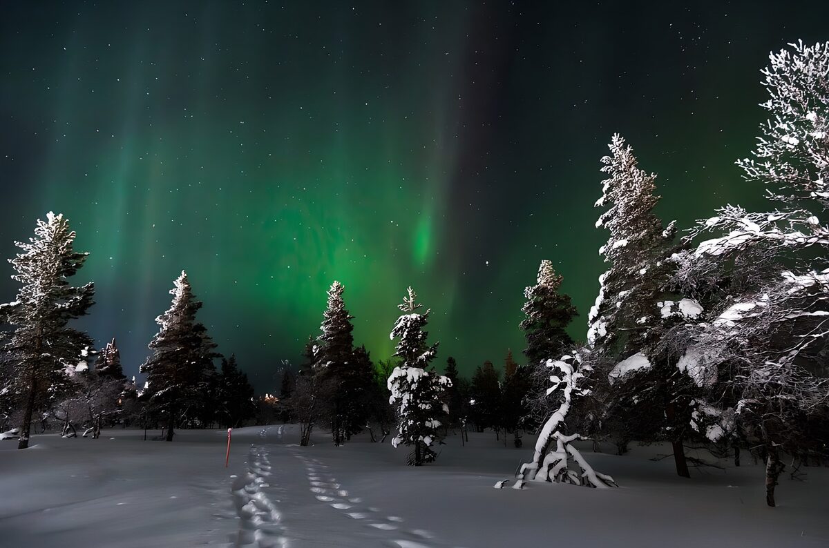 PDGIT1259234: Tende di luce verde sulla notte di neve