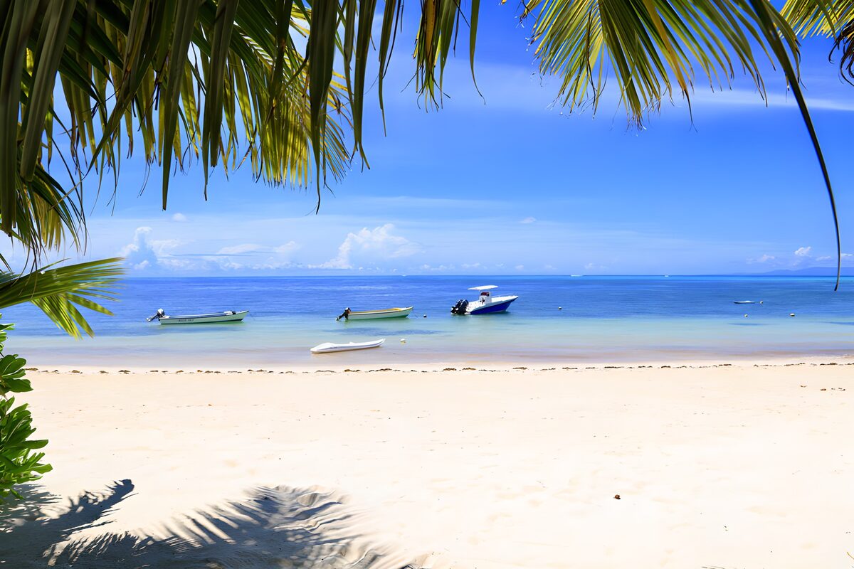 PDGIT7612697: Spiaggia tropicale con palme e barche