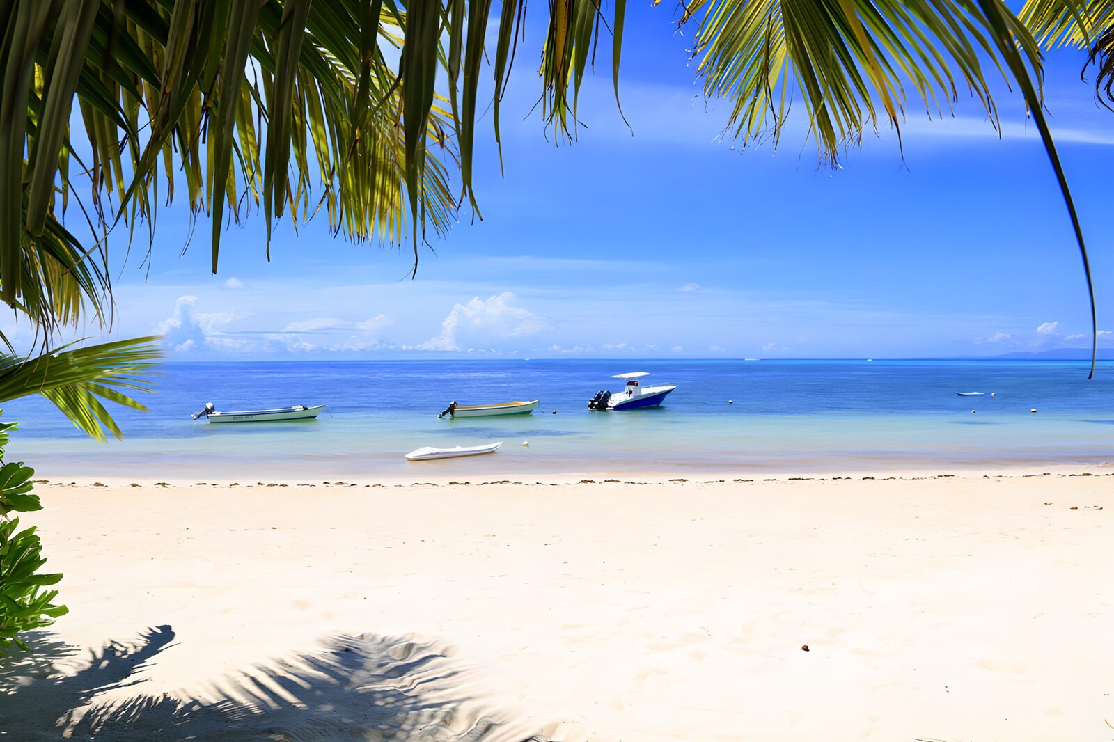 PDGIT7612697: Spiaggia tropicale con palme e barche