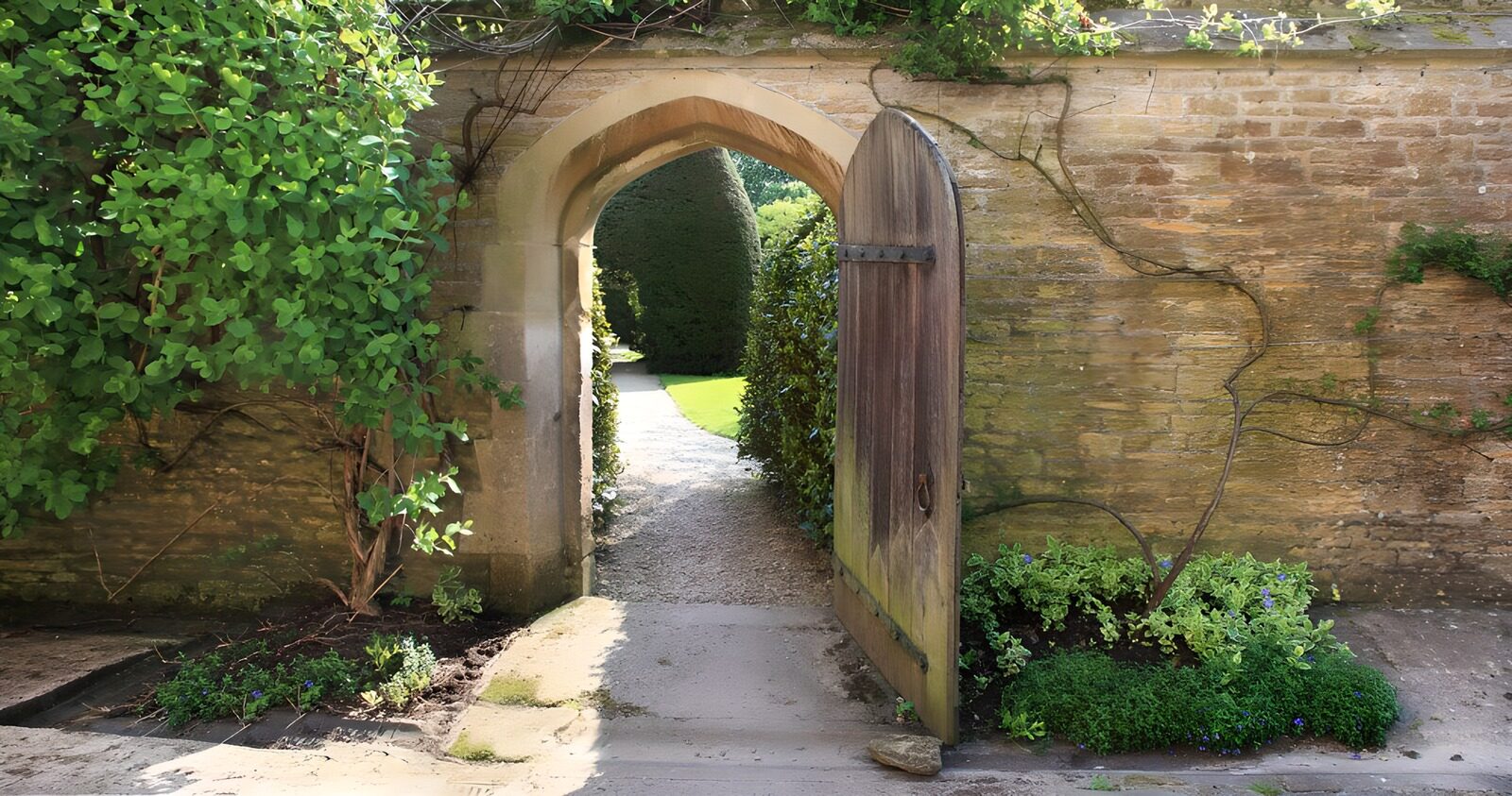 PDGIT7239767: Porta di legno aperta sul giardino