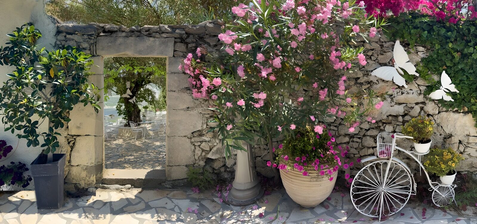 PDGIT1692289: Cortile al sole con fiori e bici bianca